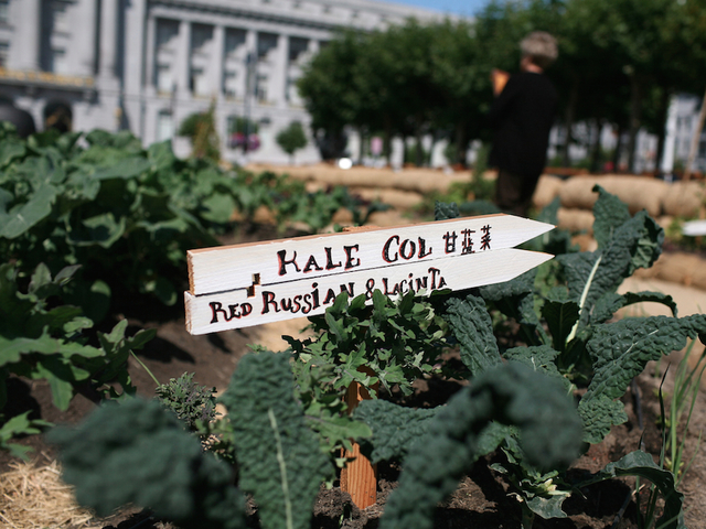 8 foods to help improve athletic performance