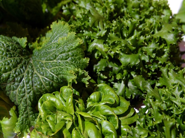 Proposed Italian law: Ban parents from putting kids on vegan diets