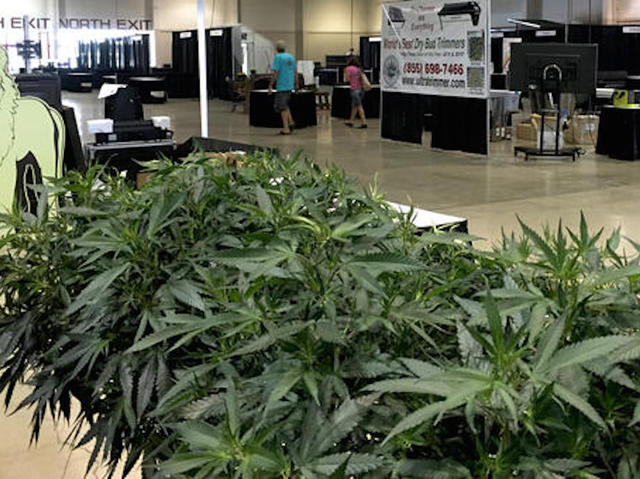 First-ever marijuana growers' fair opens in Oregon