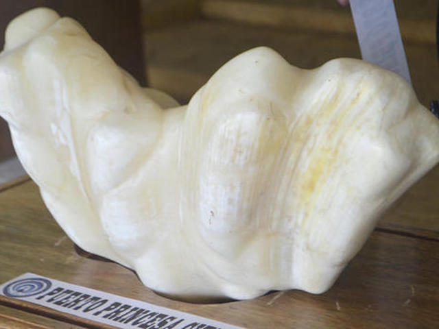 Massive 75-pound pearl worth $100M found under bed in Philippines