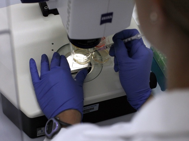 CDC reports first cases of deadly fungus in U.S.