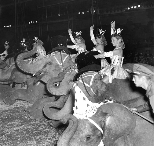 Through the years: Ringling Bros. and Barnum and Bailey Circus