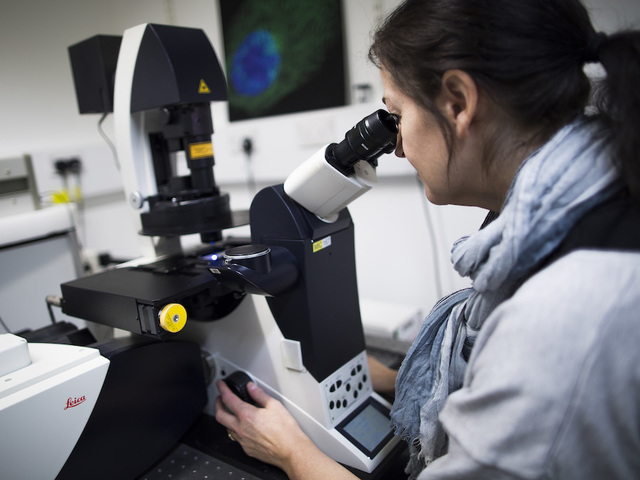 24 sickened in salmonella outbreak linked to laboratories in 16 states
