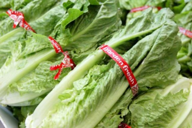 If it is chopped, that romaine lettuce might be tainted