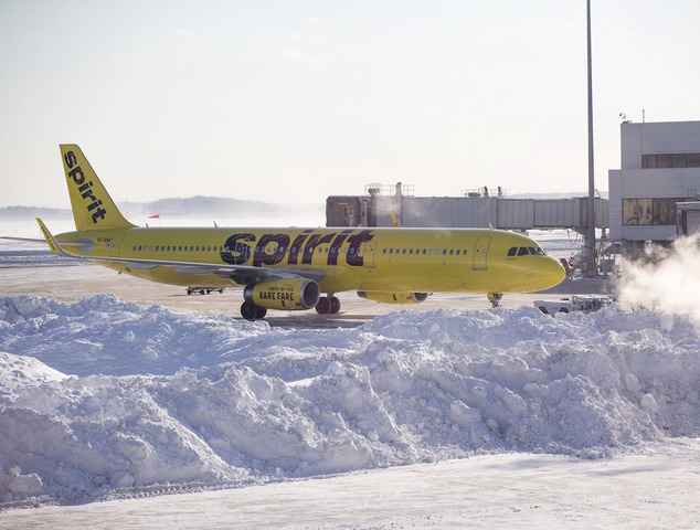 Student says airline suggested she flush living pet hamster down toilet — and she did it