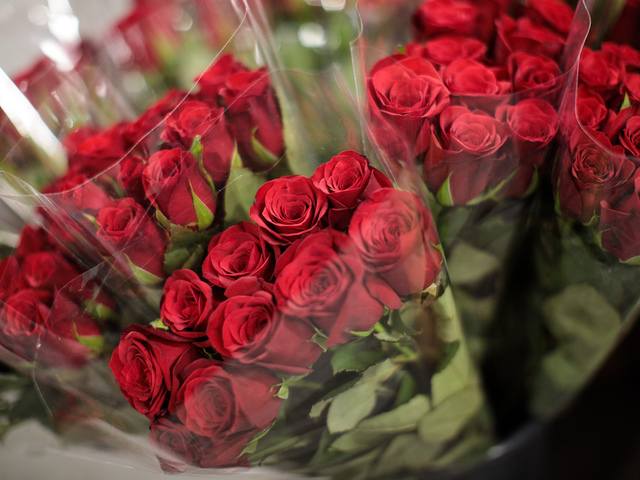 Valentine's Day: Managing the pressure