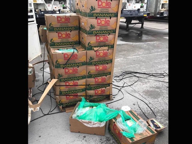 Cocaine valued at $18 million arrives at Texas prison inside shipment of bananas