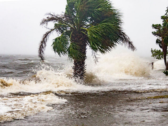 Was Hurricane Michael more powerful than Andrew, Katrina and Maria?
